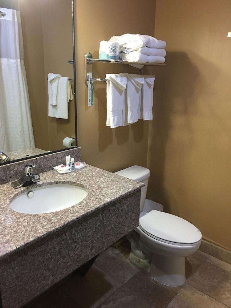 Comfort Suites Pflugerville - Austin North Luaran gambar
