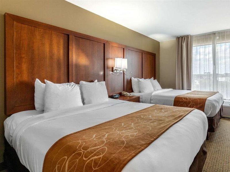 Comfort Suites Pflugerville - Austin North Luaran gambar